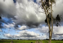 -里昂在比赛中取得胜利，稳固联赛前四名位置