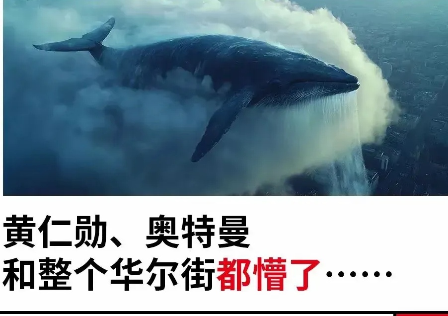 猛龙负于魔术，遇险困境寻求突破的简单介绍