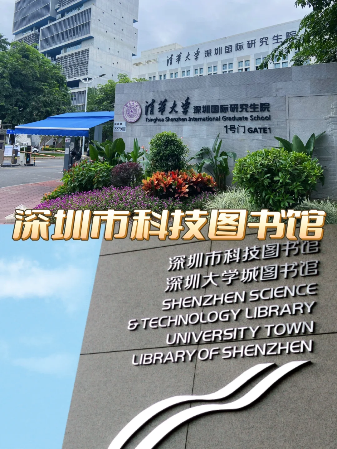 深圳大学城主场再胜，面对汉中锦龙争取领先一步